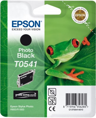 EPSON cartridge T0541 black (rosnička)