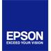 EPSON cartridge T6039 light light black (220ml)