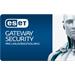 ESET Gateway Security pre Linux/BSD 26 - 49 PC + 1 ročný update